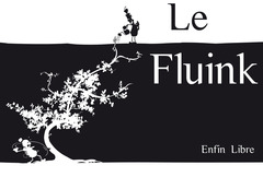 Le Fluink - Numérique